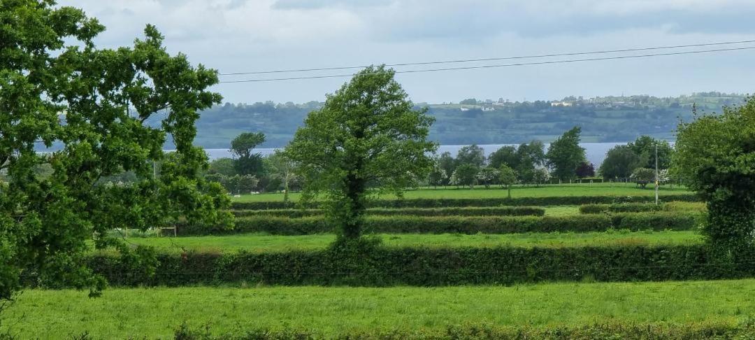 Boutique Country House Aldergrove Crumlin  Kültér fotó